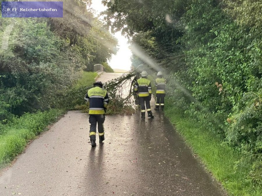 Sturmschäden Sturmschäden