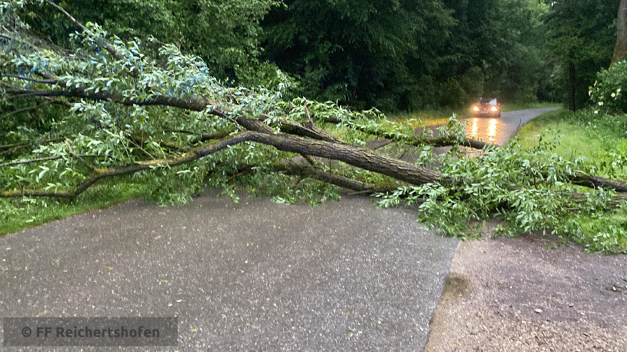 Sturmschäden Sturmschäden