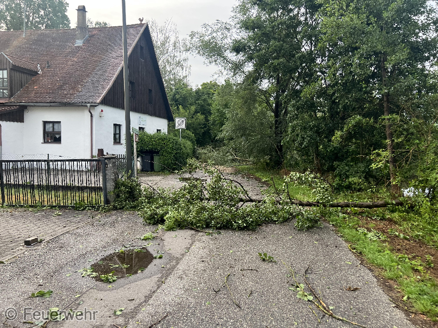 Sturmschäden Sturmschäden