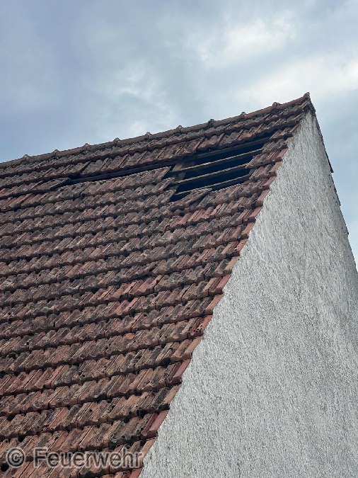 Sturmschäden Sturmschäden