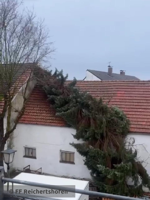 Sturmschäden Sturmschäden