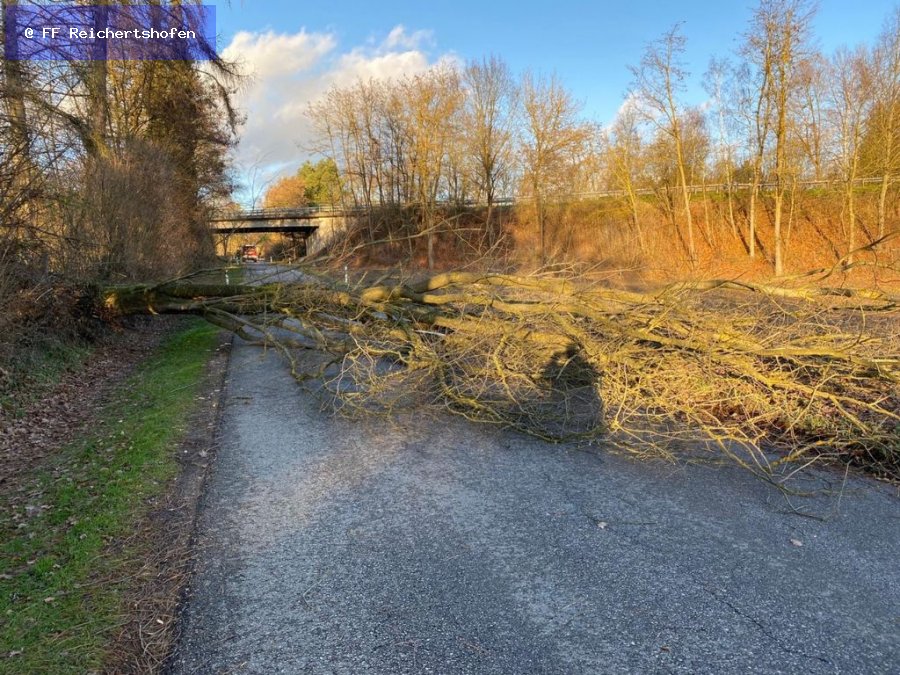 Sturmschäden Sturmschäden