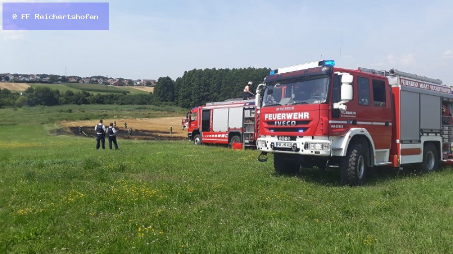 Mittelbrand Mittelbrand