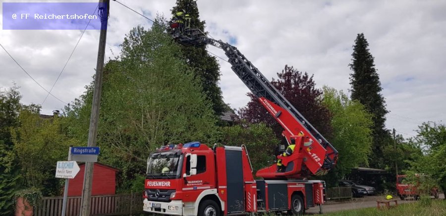 THL Sonstiges THL Sonstiges