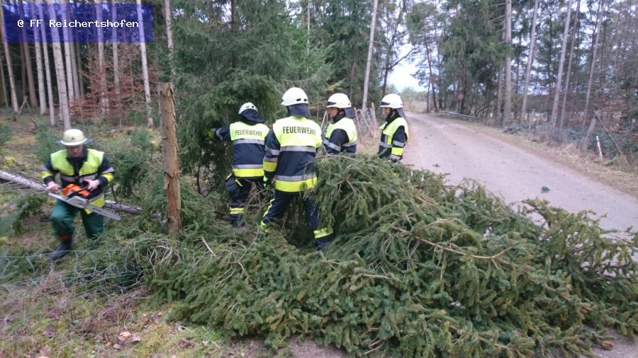 Sturmschäden Sturmschäden