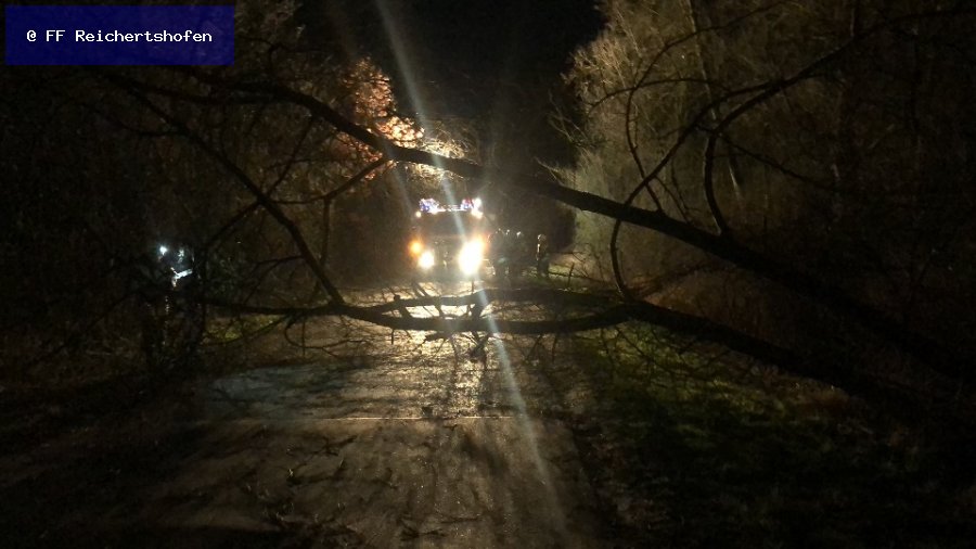 Sturmschäden Sturmschäden