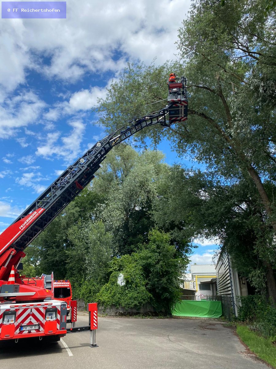 Sturmschäden Sturmschäden