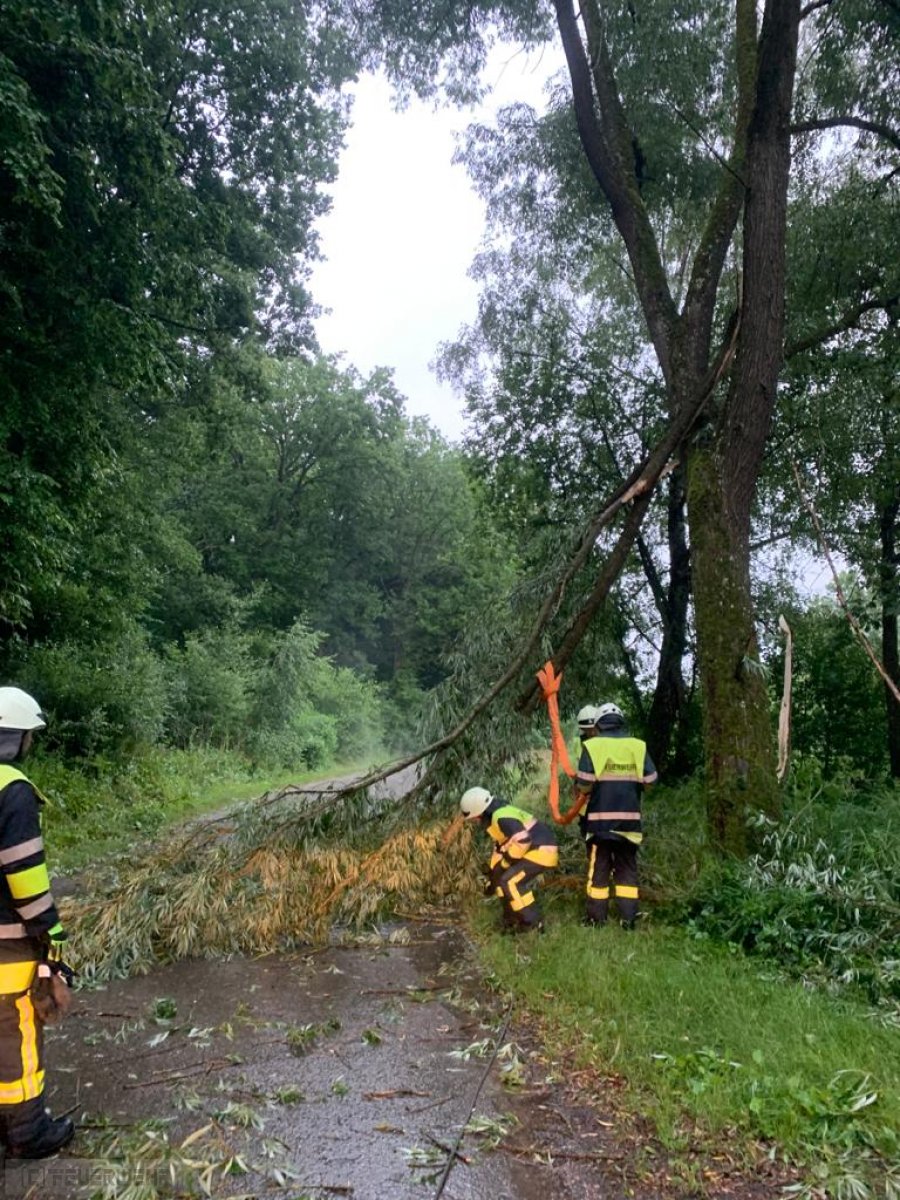 Sturmschäden Sturmschäden