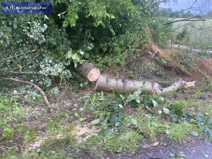 Sturmschäden Sturmschäden