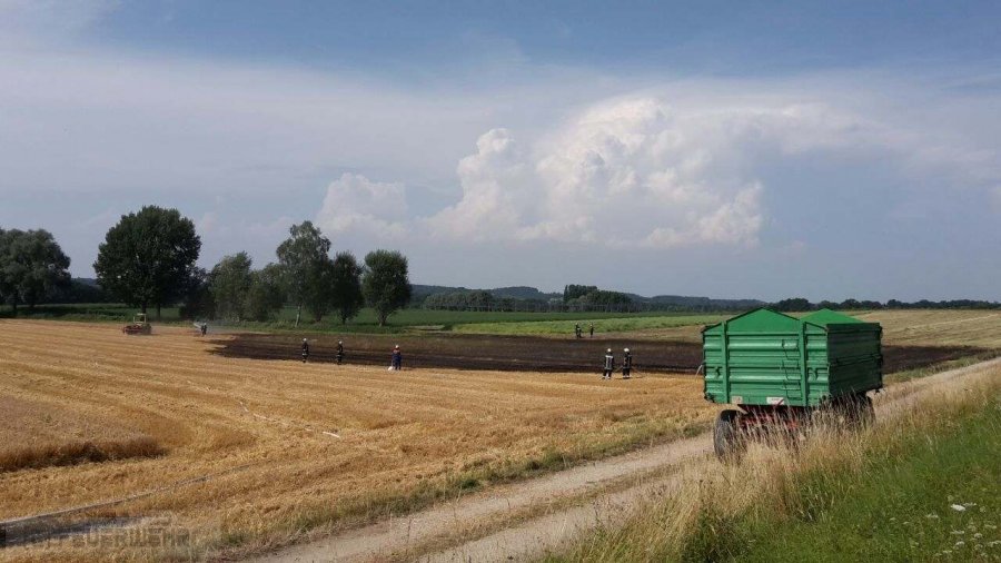 Mittelbrand Mittelbrand