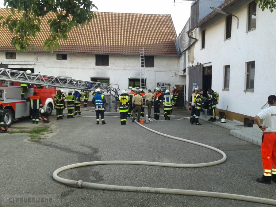 Mittelbrand Mittelbrand