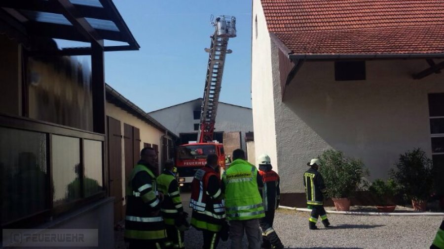 Mittelbrand Mittelbrand