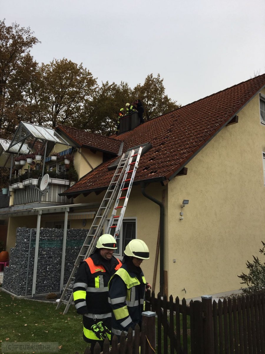 Tierunfall (Tierbergung) Tierunfall (Tierbergung)