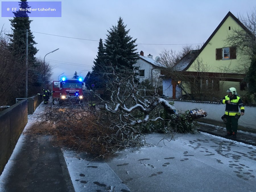 Sturmschäden Sturmschäden