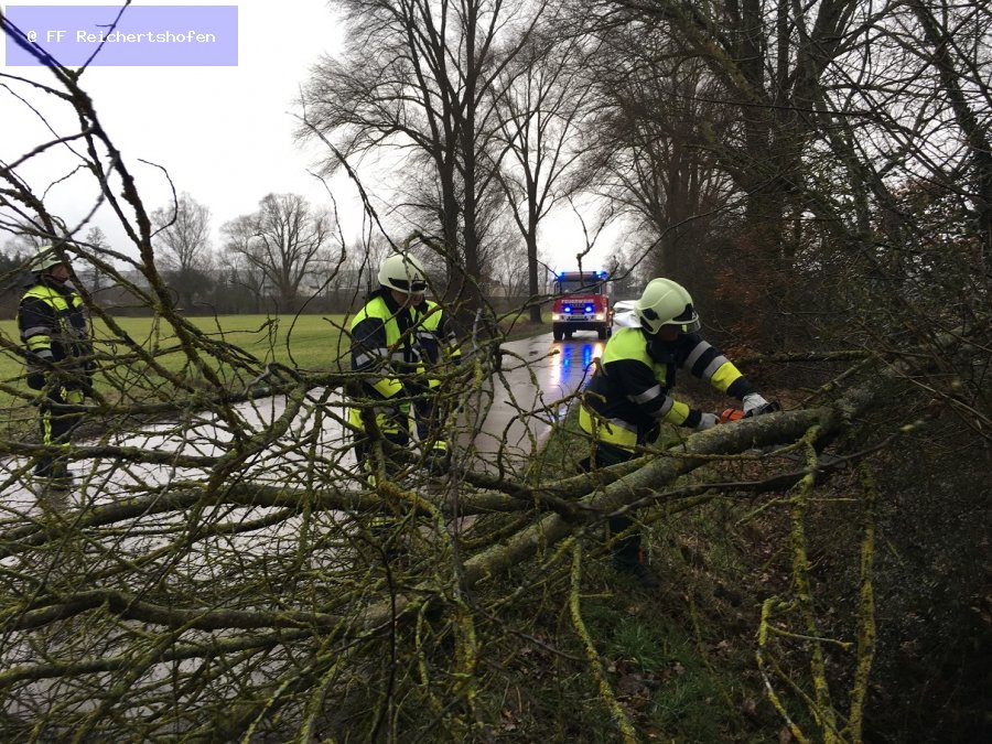 Sturmschäden Sturmschäden