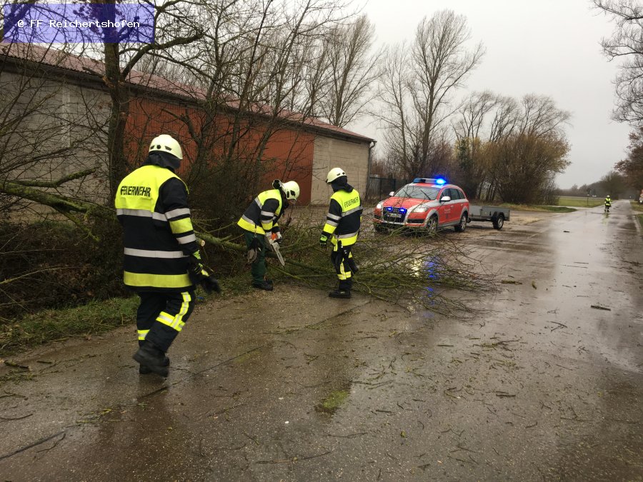 Sturmschäden Sturmschäden