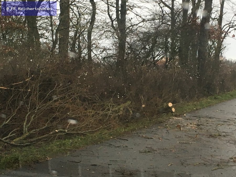 Sturmschäden Sturmschäden