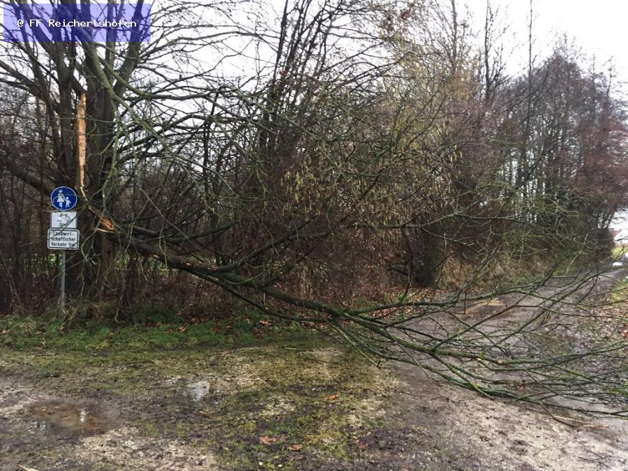 Sturmschäden Sturmschäden