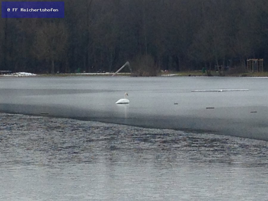 Tierunfall (Tierbergung) Tierunfall (Tierbergung)