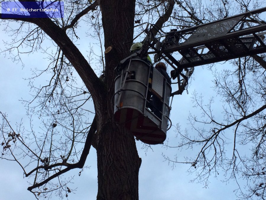 Sonstige Hilfeleistungen Sonstige Hilfeleistungen