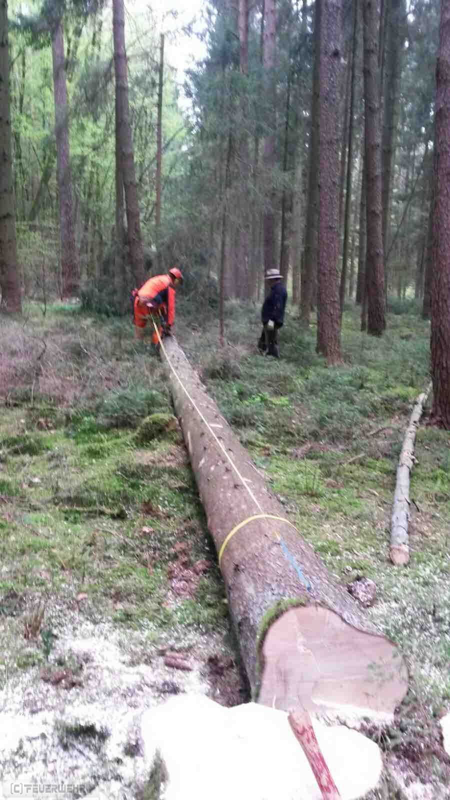 Sonstige Hilfeleistungen Sonstige Hilfeleistungen