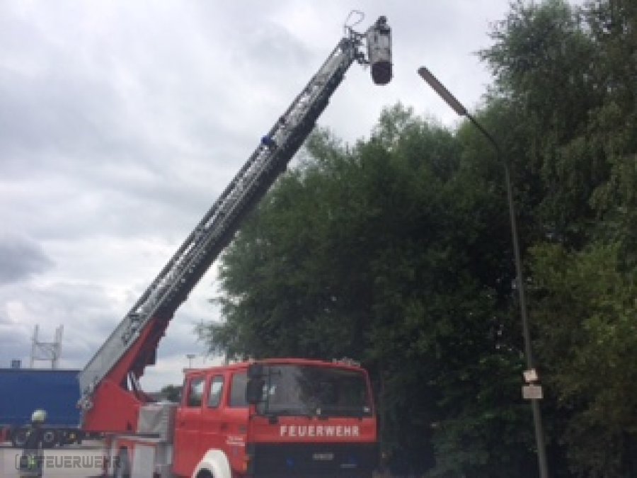 THL Sonstiges THL Sonstiges