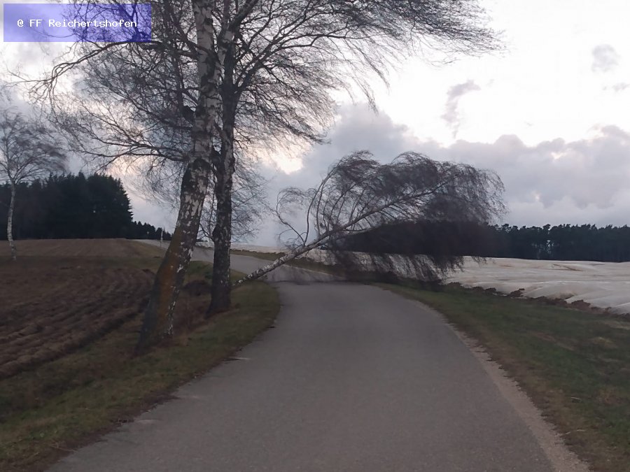 Sturmschäden Sturmschäden