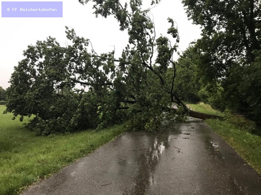 Sturmschäden Sturmschäden