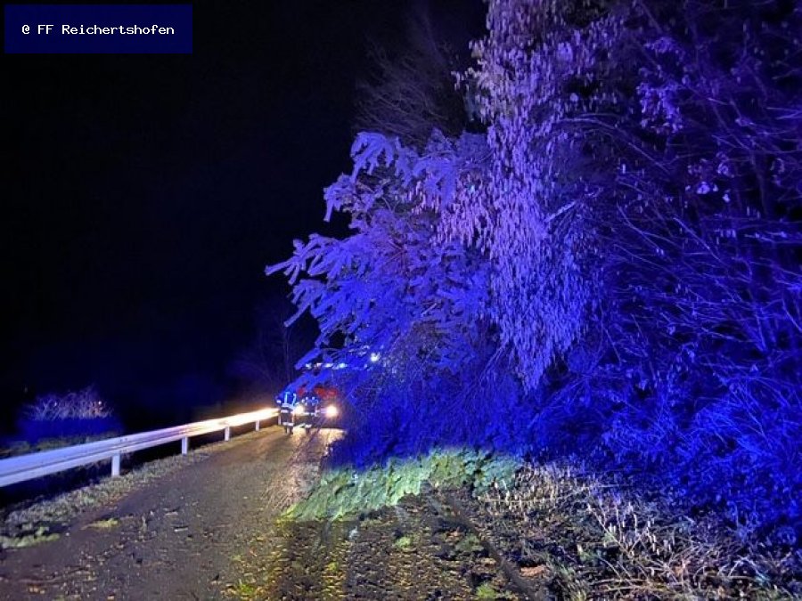 Sturmschäden Sturmschäden