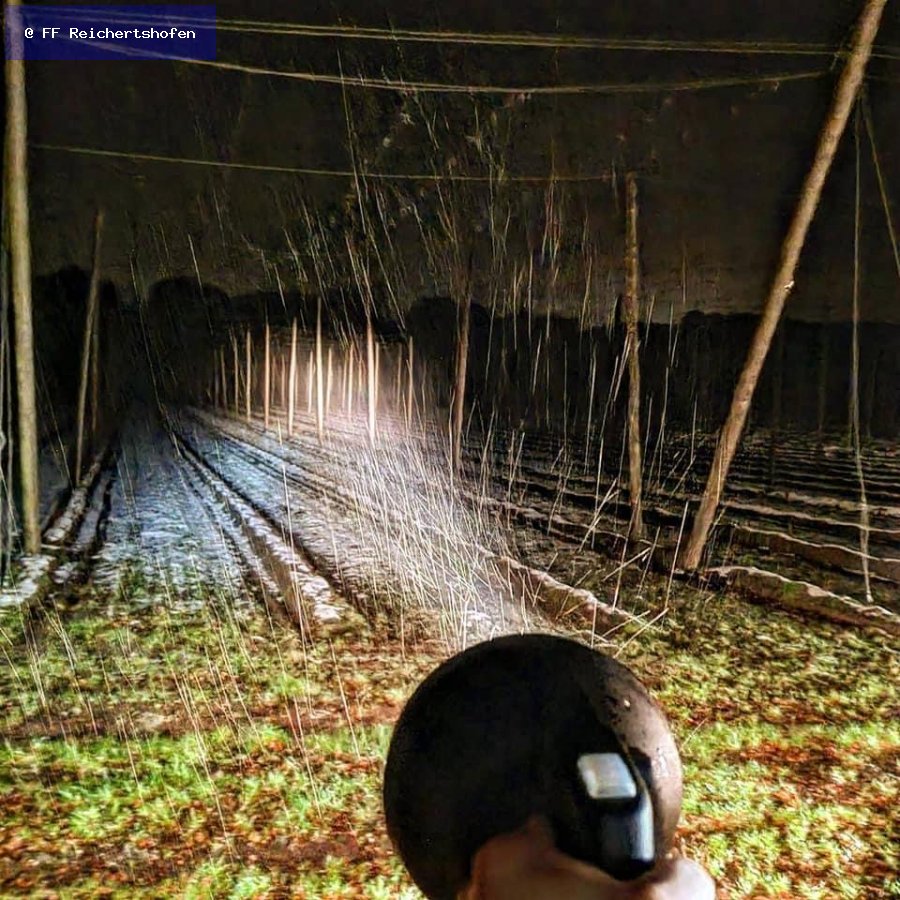 Vermisste Personen Vermisste Personen