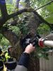 Bild-Nr. 311 Kleinbrand