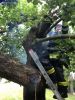 Bild-Nr. 312 Kleinbrand