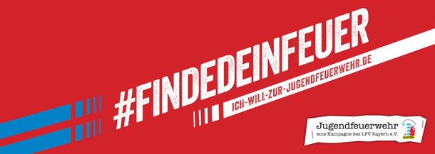 LFV Logo 2017
